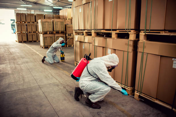 Best Affordable Pest Control Services  in Mineral Wells, TX