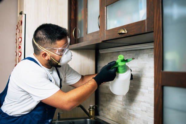 Best Termite Control Services  in Mineral Wells, TX