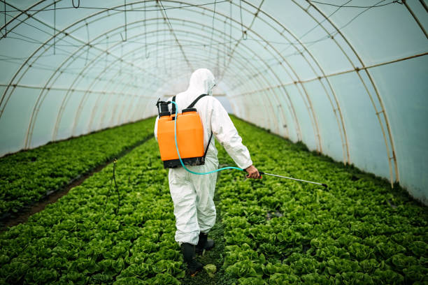 Best Pest Removal Services  in Mineral Wells, TX