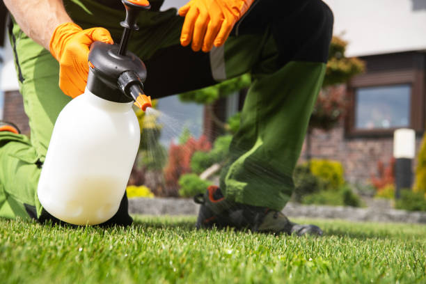 Best Wildlife Control Services  in Mineral Wells, TX