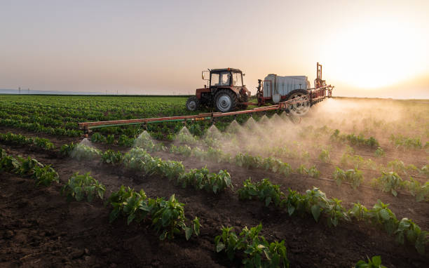 Best Pest Prevention Services  in Mineral Wells, TX