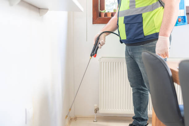 Best Mosquito Control Services  in Mineral Wells, TX