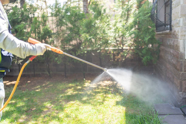 Best Spider Control Near Me  in Mineral Wells, TX
