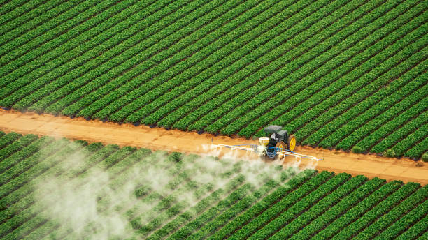 Best Commercial Pest Control Services  in Mineral Wells, TX