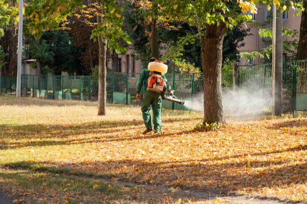 Best Exterminator Services  in Mineral Wells, TX