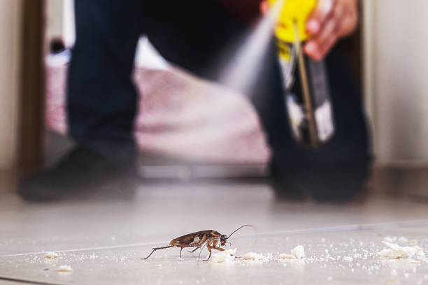 Best Cockroach Control Services  in Mineral Wells, TX